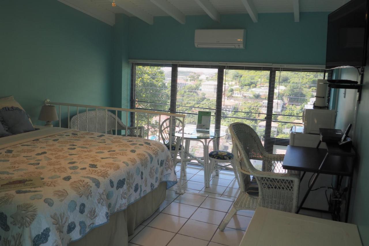 The Green Iguana Hotel 夏洛特阿马利亚 外观 照片