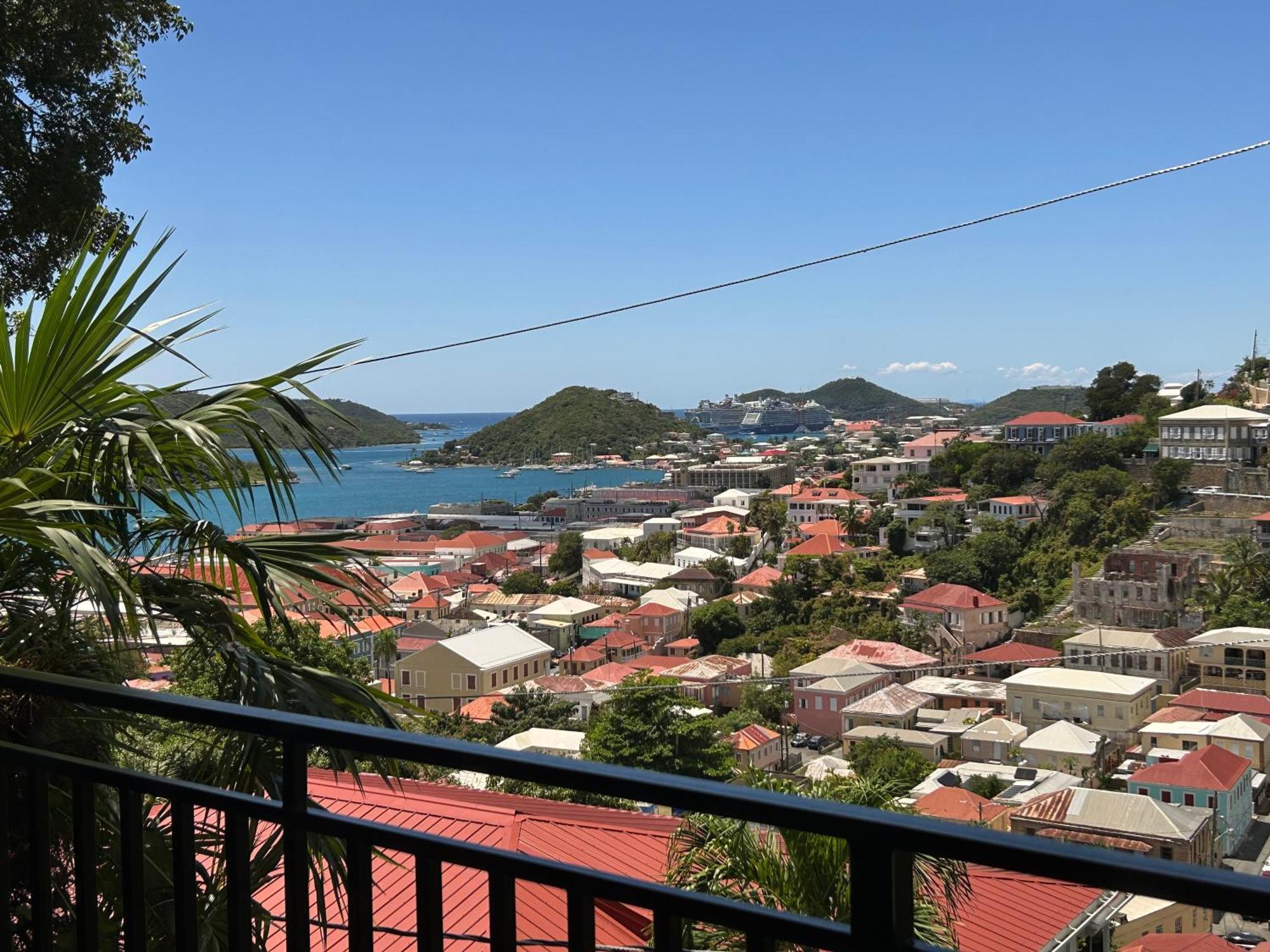 The Green Iguana Hotel 夏洛特阿马利亚 外观 照片